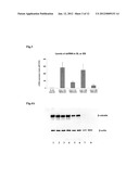 COMPOSITIONS FOR BACTERIAL MEDIATED GENE SILENCING AND METHODS OF USING     THE SAME diagram and image