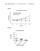 COMPOSITIONS FOR BACTERIAL MEDIATED GENE SILENCING AND METHODS OF USING     THE SAME diagram and image