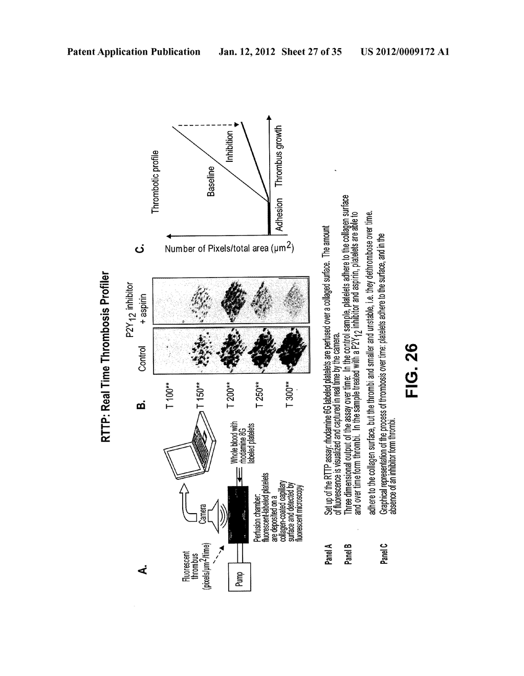 INTRAVENOUS AND ORAL DOSING OF A DIRECT-ACTING AND REVERSIBLE P2Y12     INHIBITOR - diagram, schematic, and image 28