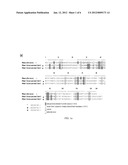 CYTOTOXIC RIBONUCLEASE VARIANTS diagram and image