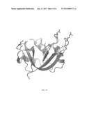 CYTOTOXIC RIBONUCLEASE VARIANTS diagram and image