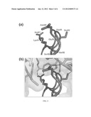 CYTOTOXIC RIBONUCLEASE VARIANTS diagram and image