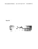 ANTIBODY NEUTRALIZERS OF HUMAN GRANULOCYTE MACROPHAGE COLONY STIMULATING     FACTOR diagram and image