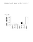 ANTIBODY NEUTRALIZERS OF HUMAN GRANULOCYTE MACROPHAGE COLONY STIMULATING     FACTOR diagram and image