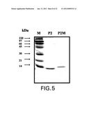 HYPALLERGENIC MOSAIC ANTIGENS AND METHODS OF MAKING SAME diagram and image