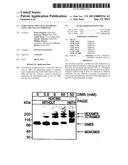 EARLY DETECTION OF FLAVIVIRUSES USING THE NS1 GLYCOPROTEIN diagram and image