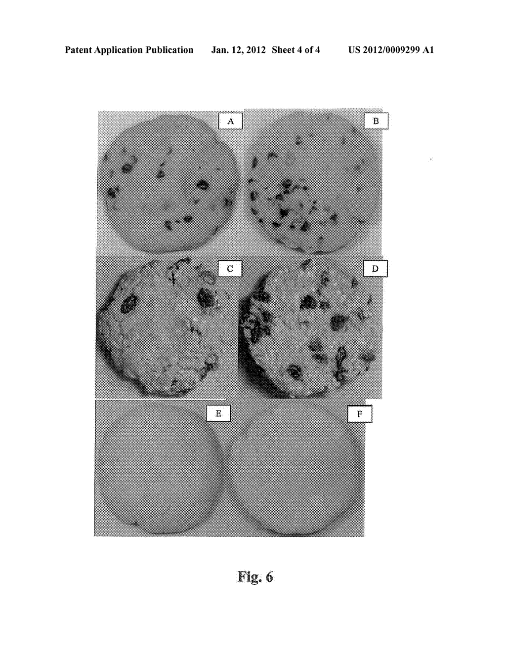 MICROWAVABLE FROZEN COOKIE DOUGH - diagram, schematic, and image 05