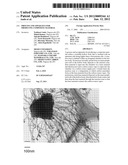 PROCESS AND APPARATUS FOR PRODUCING COMPOSITE MATERIAL diagram and image