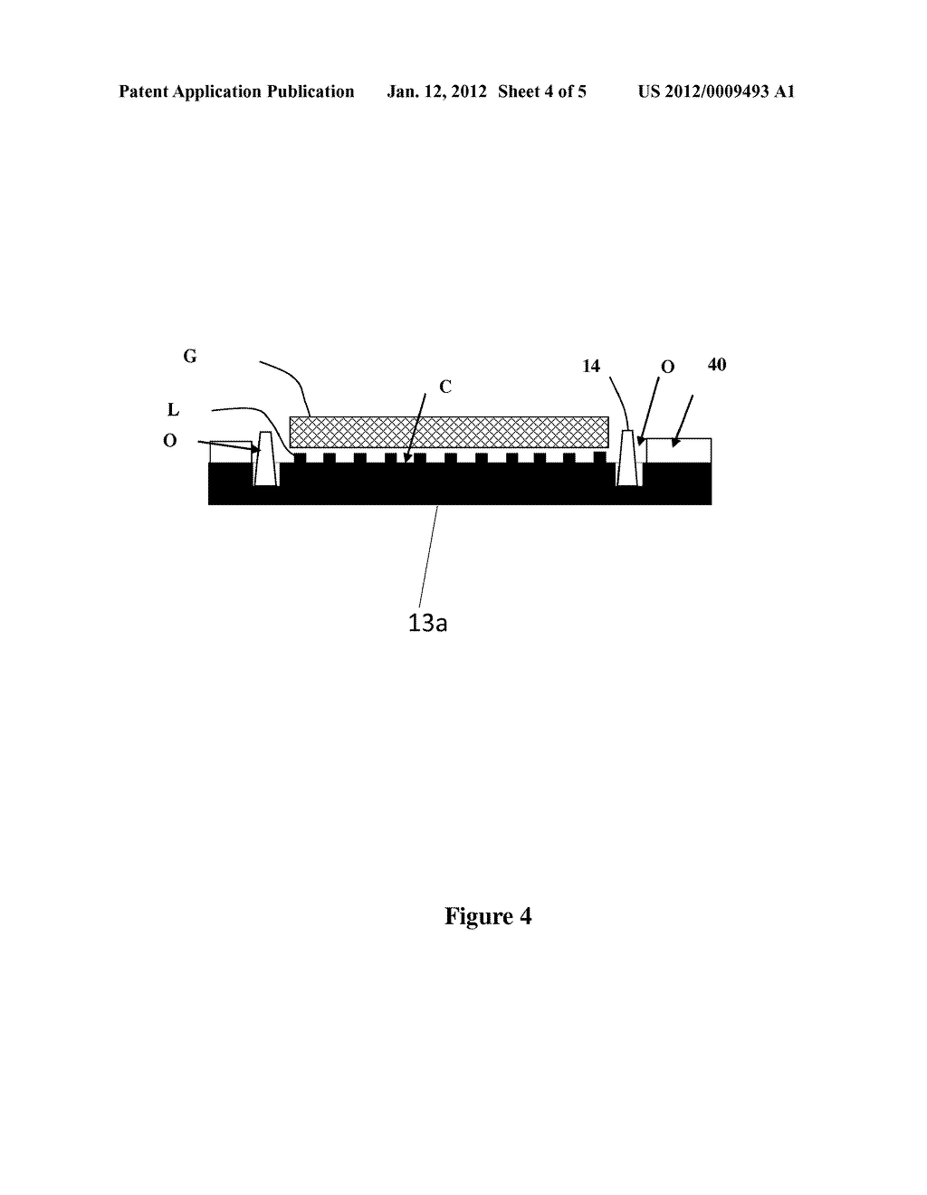 COMPRESSION OF DIRECT METHANOL FUEL CELL STACKS WITH CATALYST COATED     MEMBRANES AND MEMBRANE ELECTRODE ASSEMBLY - diagram, schematic, and image 05