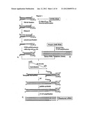 Restoration of Nucleic Acid From Degraded or Formalin-Fixed and     Paraffin-Embedded Tissue and Uses Thereof diagram and image