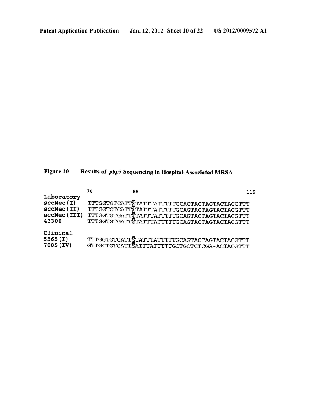 Novel single nucleotide polymorphisms and community-associated     methicillin-resistant staphylococcus aureus - diagram, schematic, and image 11