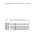 Novel single nucleotide polymorphisms and community-associated     methicillin-resistant staphylococcus aureus diagram and image