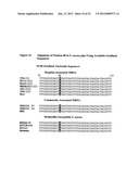 Novel single nucleotide polymorphisms and community-associated     methicillin-resistant staphylococcus aureus diagram and image