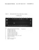 Novel single nucleotide polymorphisms and community-associated     methicillin-resistant staphylococcus aureus diagram and image