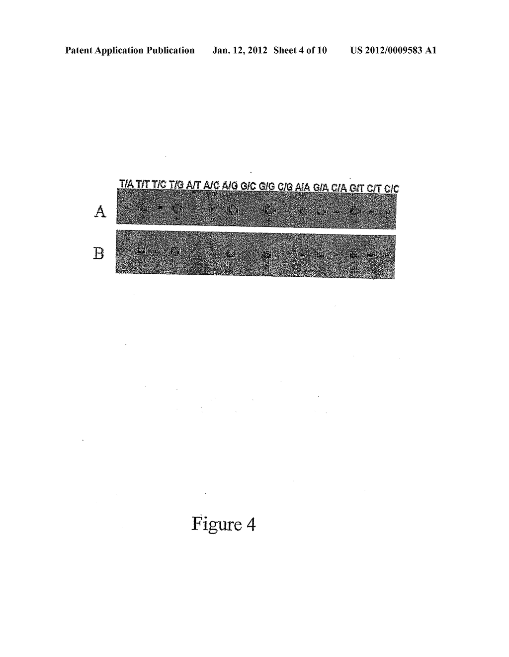 Method for Producing Highly Sensitive Endonucleases, Novel Preparations of     Endonucleases and Uses Thereof - diagram, schematic, and image 05