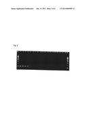 METHOD FOR DETECTING AND QUNANTIFYING ENDOGENOUS WHEAT DNA SEQUENCE diagram and image