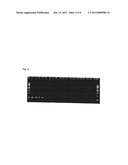 METHOD FOR DETECTING AND QUNANTIFYING ENDOGENOUS WHEAT DNA SEQUENCE diagram and image