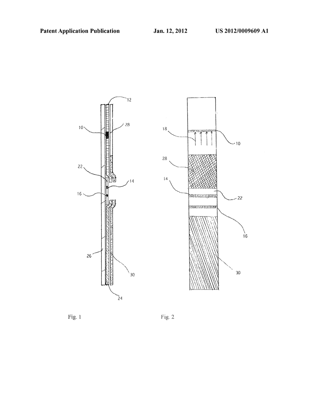 DEVICES AND METHODS FOR DETECTING AMNIOTIC FLUID IN VAGINAL SECRETIONS - diagram, schematic, and image 02