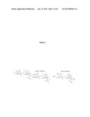 DETECTION OF OLIGOSACCHARIDES diagram and image