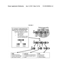 DETECTION OF OLIGOSACCHARIDES diagram and image