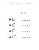 DETECTION OF OLIGOSACCHARIDES diagram and image