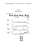 DETECTION OF OLIGOSACCHARIDES diagram and image