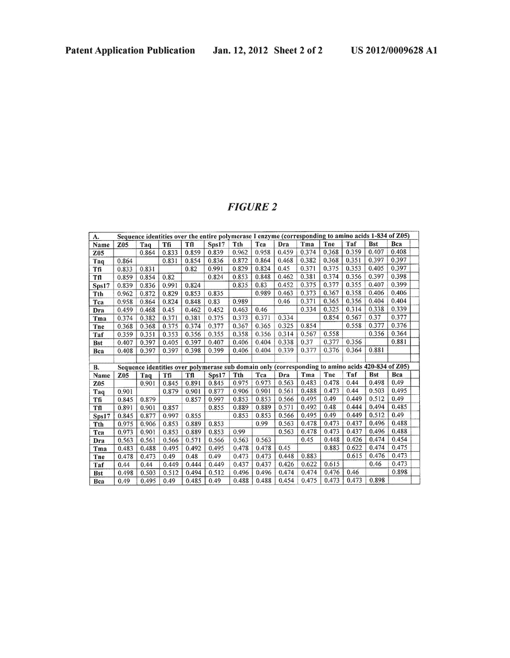 DNA POLYMERASES WITH INCREASED  3'-MISMATCH DISCRIMINATION - diagram, schematic, and image 03