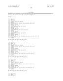 DNA POLYMERASES WITH INCREASED  3 -MISMATCH DISCRIMINATION diagram and image