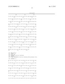 DNA POLYMERASES WITH INCREASED  3 -MISMATCH DISCRIMINATION diagram and image