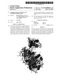 THERMOSTABLE LUCIFERASES AND METHODS OF PRODUCTION diagram and image