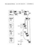 THERMOSTABLE LUCIFERASES AND METHODS OF PRODUCTION diagram and image