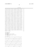 THERMOSTABLE LUCIFERASES AND METHODS OF PRODUCTION diagram and image