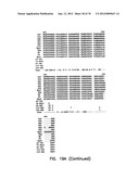 THERMOSTABLE LUCIFERASES AND METHODS OF PRODUCTION diagram and image