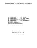 THERMOSTABLE LUCIFERASES AND METHODS OF PRODUCTION diagram and image