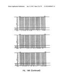 THERMOSTABLE LUCIFERASES AND METHODS OF PRODUCTION diagram and image