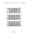 THERMOSTABLE LUCIFERASES AND METHODS OF PRODUCTION diagram and image