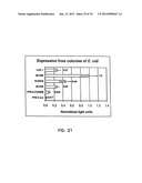 THERMOSTABLE LUCIFERASES AND METHODS OF PRODUCTION diagram and image