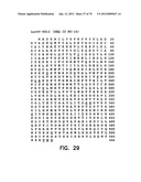 THERMOSTABLE LUCIFERASES AND METHODS OF PRODUCTION diagram and image