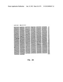 THERMOSTABLE LUCIFERASES AND METHODS OF PRODUCTION diagram and image