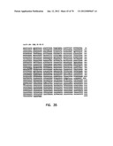 THERMOSTABLE LUCIFERASES AND METHODS OF PRODUCTION diagram and image