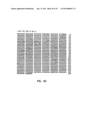 THERMOSTABLE LUCIFERASES AND METHODS OF PRODUCTION diagram and image