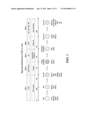 METHODS OF PRODUCING PANCREATIC HORMONES diagram and image