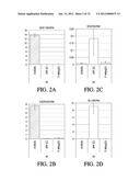 METHODS OF PRODUCING PANCREATIC HORMONES diagram and image