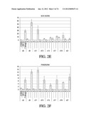 METHODS OF PRODUCING PANCREATIC HORMONES diagram and image