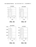 METHODS OF PRODUCING PANCREATIC HORMONES diagram and image