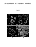 METHODS OF PRODUCING PANCREATIC HORMONES diagram and image