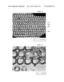 Metallic Leadframes Having Laser-Treated Surfaces for Improved Adhesion to     Polymeric Compounds diagram and image