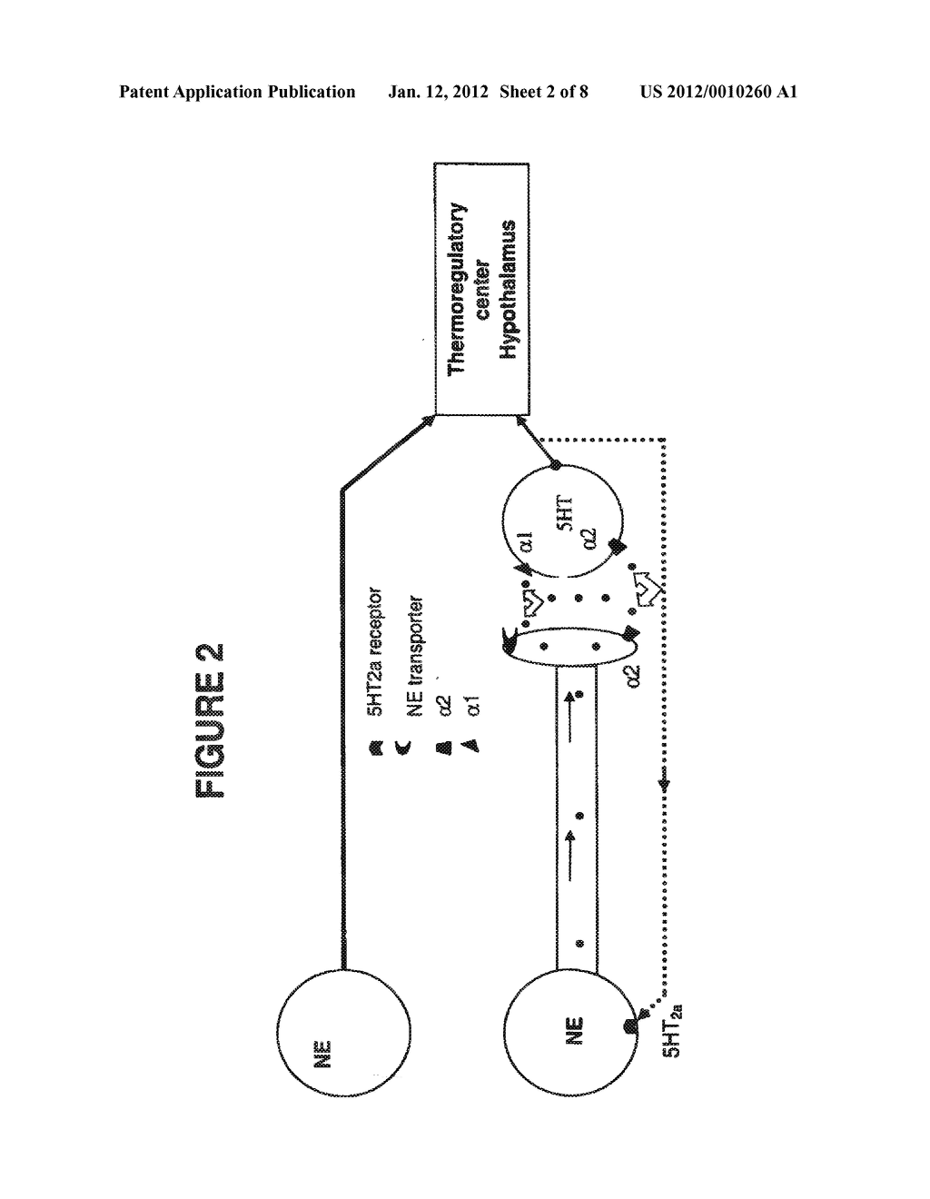 METHOD FOR TREATING NERVOUS SYSTEM DISORDERS AND CONDITIONS - diagram, schematic, and image 03