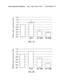 SINGLE-STRANDED NUCLEIC ACID MOLECULE FOR CONTROLLING GENE EXPRESSION diagram and image