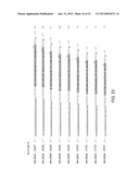 SINGLE-STRANDED NUCLEIC ACID MOLECULE FOR CONTROLLING GENE EXPRESSION diagram and image